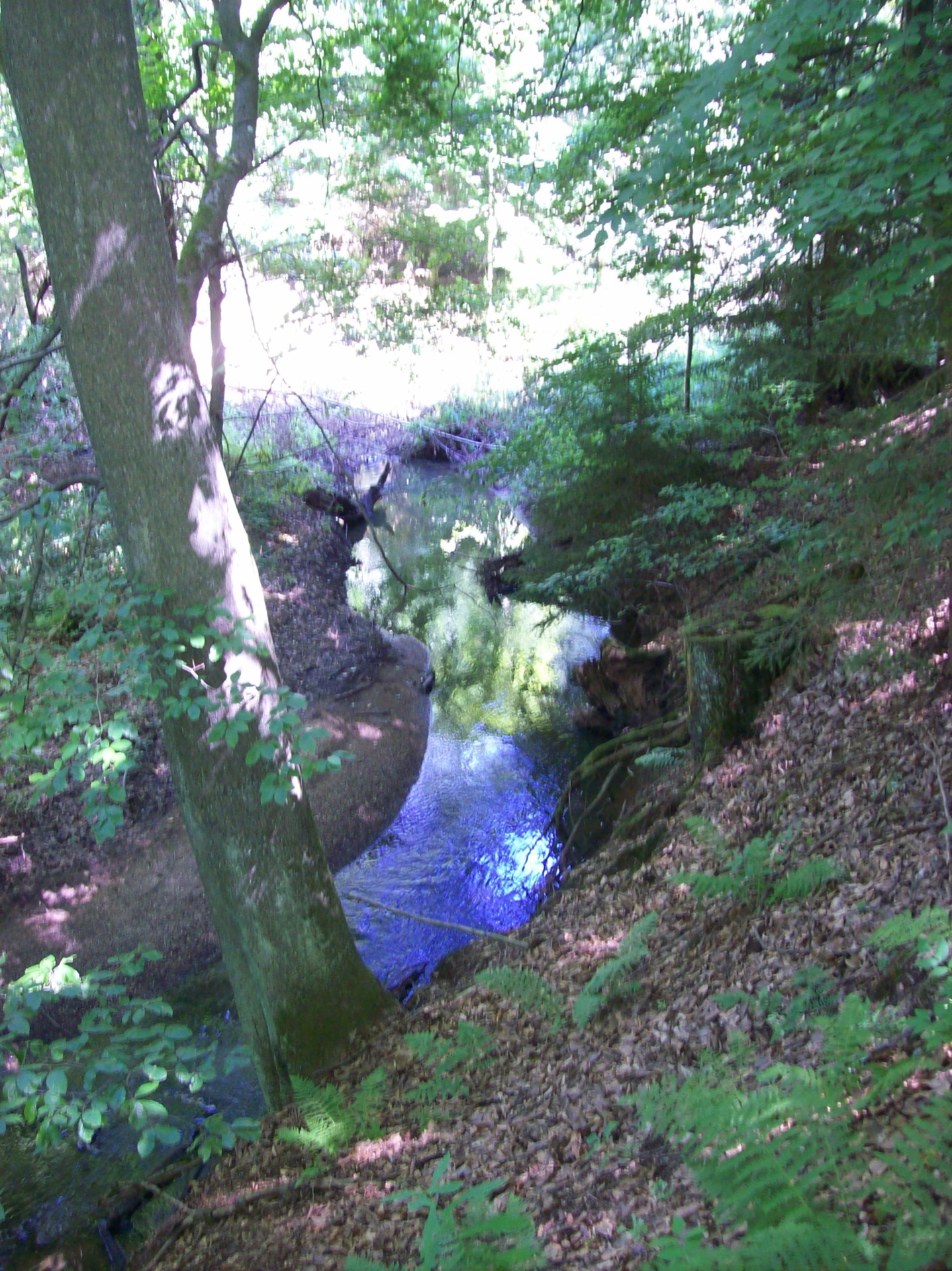 ŽIVÁ krajina